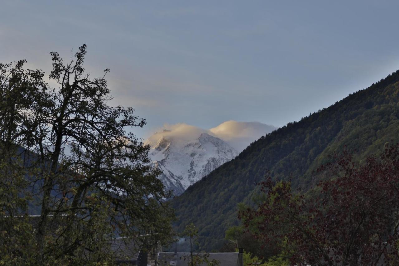 Residence Des Jardins, Wifi, Centre Luchon Bagneres-de-Luchon Luaran gambar